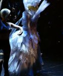lady_gaga_536.jpg