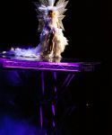 lady_gaga_556.jpg
