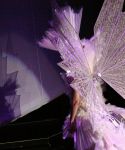 lady_gaga_561.jpg