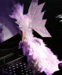 lady_gaga_563.jpg