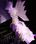 lady_gaga_564.jpg