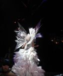 Filename=lady_gaga_311.jpg
Filesize=108KiB
Dimensions=768x1024
Date added=Aug 18, 2010 lady_gaga_311.jpg