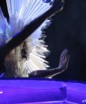 Filename=lady_gaga_315.jpg
Filesize=131KiB
Dimensions=1024x768
Date added=Aug 18, 2010 lady_gaga_315.jpg