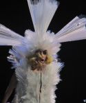 Filename=lady_gaga_032.jpg
Filesize=62KiB
Dimensions=640x480
Date added=Sep 06, 2010 lady_gaga_032.jpg