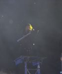 Filename=lady_gaga_104.jpg
Filesize=44KiB
Dimensions=640x480
Date added=Sep 18, 2010 lady_gaga_104.jpg