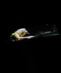 Filename=lady_gaga_010.jpg
Filesize=38KiB
Dimensions=1024x768
Date added=Oct 14, 2010 lady_gaga_010.jpg