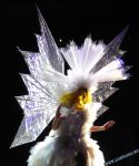 Filename=lady_gaga_030.jpg
Filesize=164KiB
Dimensions=876x1024
Date added=Nov 13, 2010 lady_gaga_030.jpg