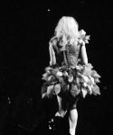 Filename=lady_gaga_077.jpg
Filesize=73KiB
Dimensions=720x540
Date added=Oct 09, 2011 lady_gaga_077.jpg