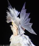 lady_gaga_214.jpg