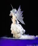 lady_gaga_215.jpg