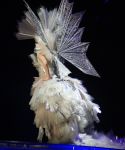 lady_gaga_217.jpg