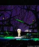 lady_gaga_270.jpg