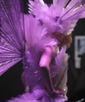 Filename=lady_gaga_247.jpg
Filesize=141KiB
Dimensions=768x1024
Date added=Mar 02, 2012 lady_gaga_247.jpg