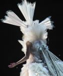 lady-gaga-068.jpg