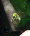 Filename=lady-gaga-004.jpg
Filesize=23KiB
Dimensions=360x480
Date added=Apr 08, 2010 lady-gaga-004.jpg
