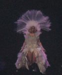 lady-gaga-011.jpg