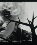 Filename=lady-gaga-012.jpg
Filesize=93KiB
Dimensions=1600x756
Date added=May 19, 2010 lady-gaga-012.jpg