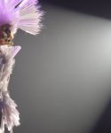 Filename=lady-gaga-103.jpg
Filesize=68KiB
Dimensions=1024x768
Date added=Jun 05, 2010 lady-gaga-103.jpg
