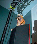 gaga_282529.jpg