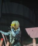 g_28229.jpg
