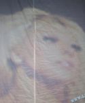 Filename=lady_gaga_067.jpg
Filesize=40KiB
Dimensions=604x453
Date added=Feb 19, 2012 lady_gaga_067.jpg