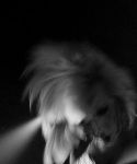 Filename=lady-gaga-020.jpg
Filesize=67KiB
Dimensions=800x500
Date added=Apr 01, 2009 lady-gaga-020.jpg