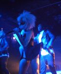 s_281129.jpg