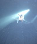 s_283529.jpg