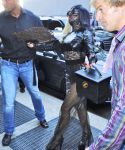 Filename=lady-gaga_026~8.jpg
Filesize=677KiB
Dimensions=1843x2626
Date added=Jul 19, 2011 lady-gaga_026~8.jpg