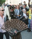 Filename=lady-gaga_050~2.jpg
Filesize=735KiB
Dimensions=2077x3000
Date added=Jul 19, 2011 lady-gaga_050~2.jpg