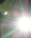 Filename=15190442939_b240517057_o.jpg
Filesize=828KiB
Dimensions=4320x3240
Date added=Sep 29, 2014 15190442939_b240517057_o.jpg