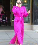 gaga_281329.jpg