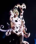 gaga_281329~2.jpg