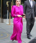 gaga_281829.jpg