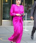 gaga_282129.jpg