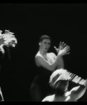 1_284829.jpg