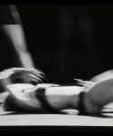 1_288929.jpg