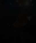 MTN_2830929.jpg